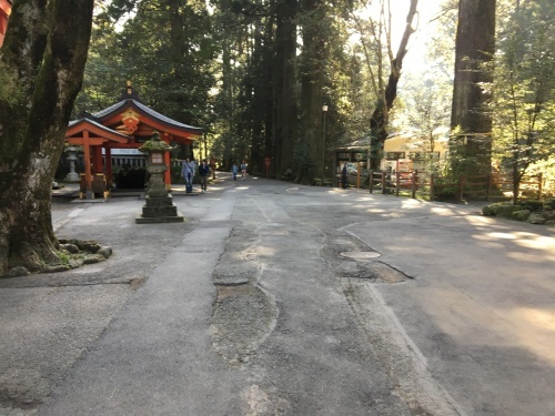 b0330040_13122512.jpeg
