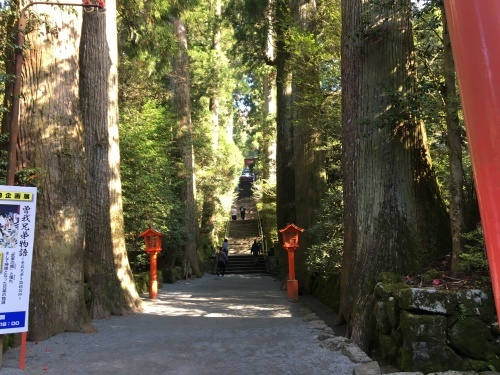 b0330040_13175077.jpeg
