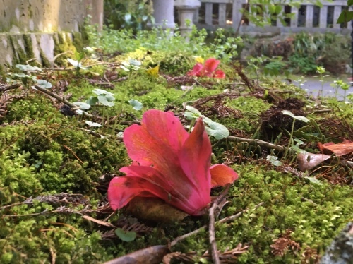 b0330040_13203215.jpeg