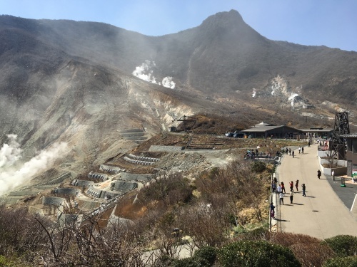 渋滞と混雑を避けて…箱根の楽しみ方_b0330040_22171582.jpeg