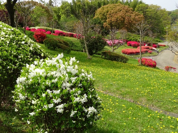 b0299042_18222398.jpg