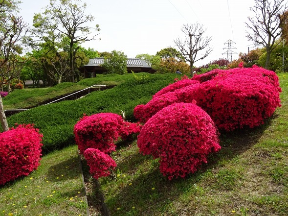 b0299042_18230110.jpg