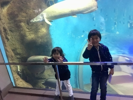 a0236744_20080133.jpeg