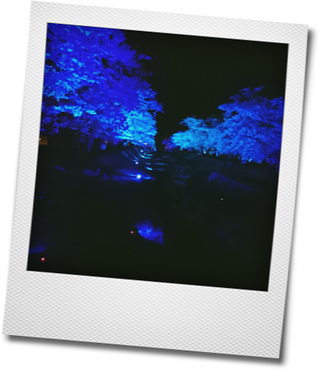 d0155744_07003533.png