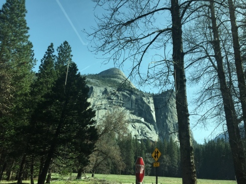 a0170045_09520648.jpeg