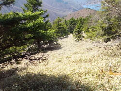 e0041047_05430623.jpg