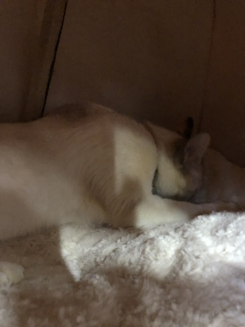 b0214652_17574225.jpeg