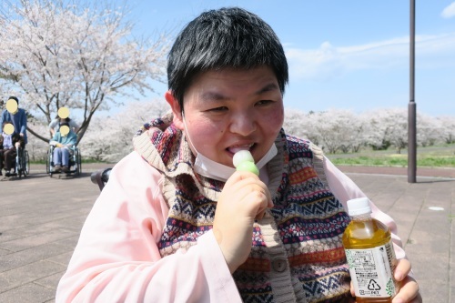 お花見外出_c0350752_10031875.jpg