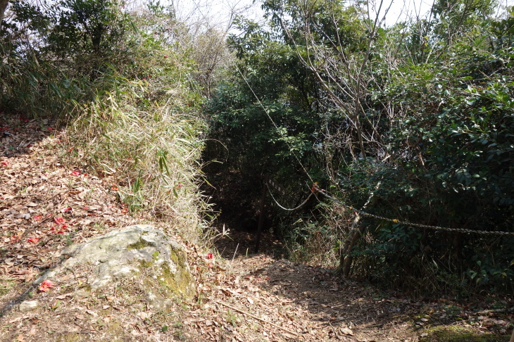 高城山・諌山・大久保山・大平山縦走(京都郡苅田町)_d0345153_21122369.jpg