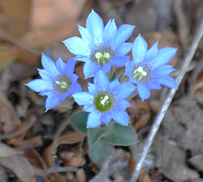 a0001354_00483672.gif