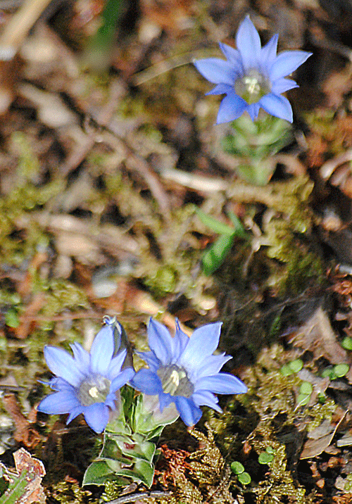a0001354_00500264.gif
