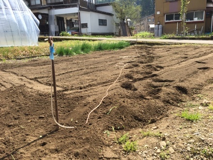 a0346455_21223810.jpeg