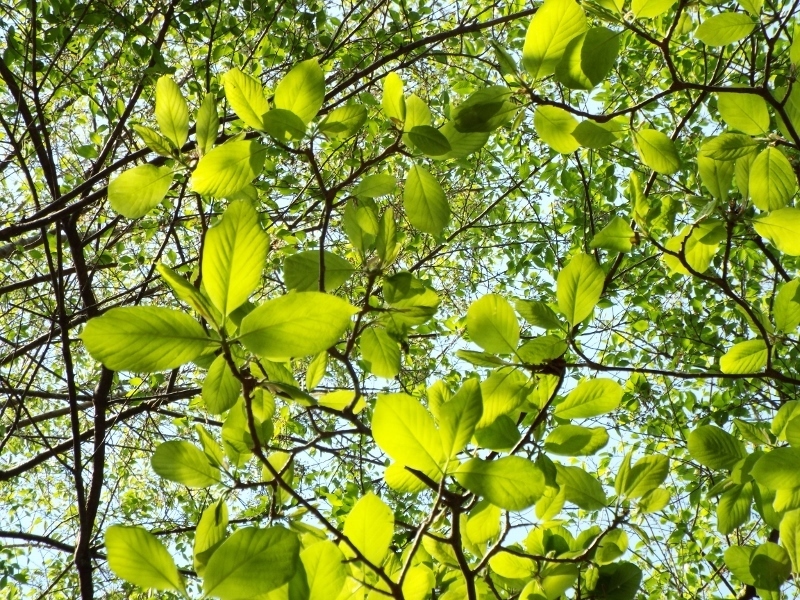 a0355356_14025029.jpg