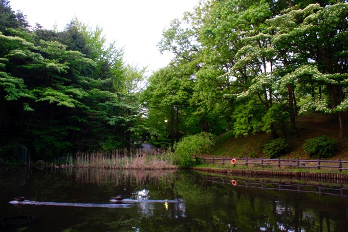 a0248459_15512197.jpg
