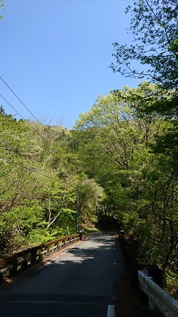 a0208560_12542274.jpg