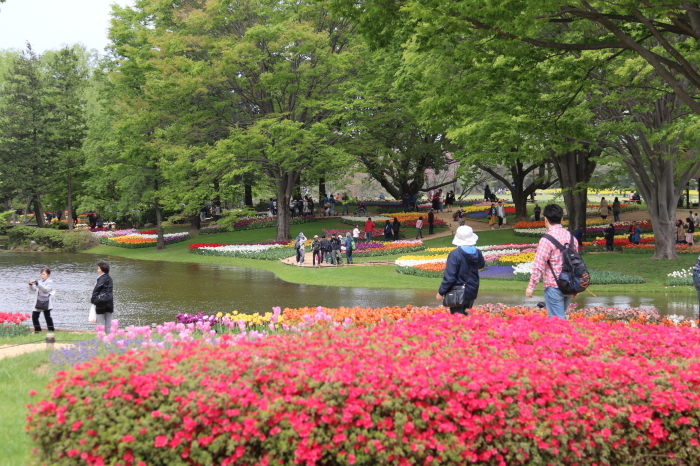 昭和記念公園 フラワーフェスティバル18 ３ チューリップ色々 Let S Enjoy Everyday