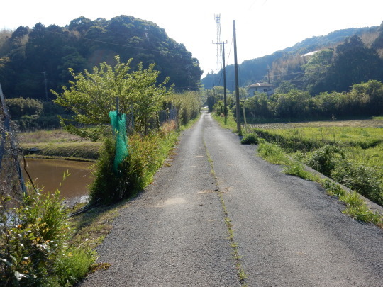 ’18,4,23(月)今日は朝から涼しい!_f0060461_09510045.jpg