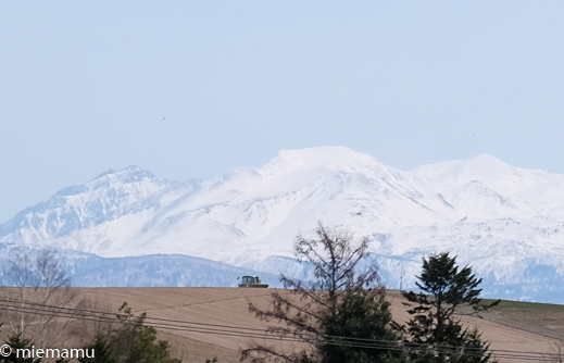 d0340565_20130499.jpg