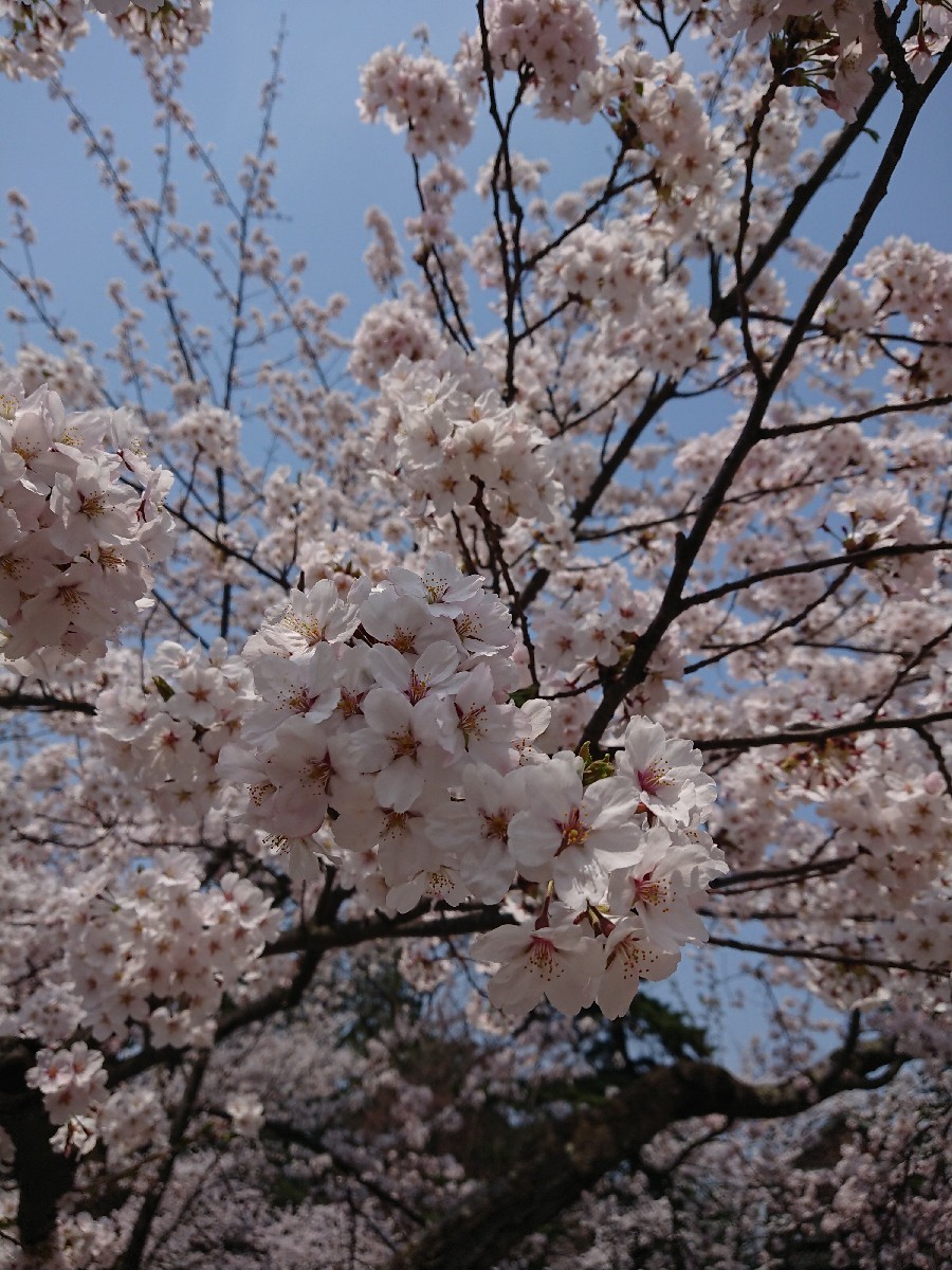 f0201565_07345287.jpg