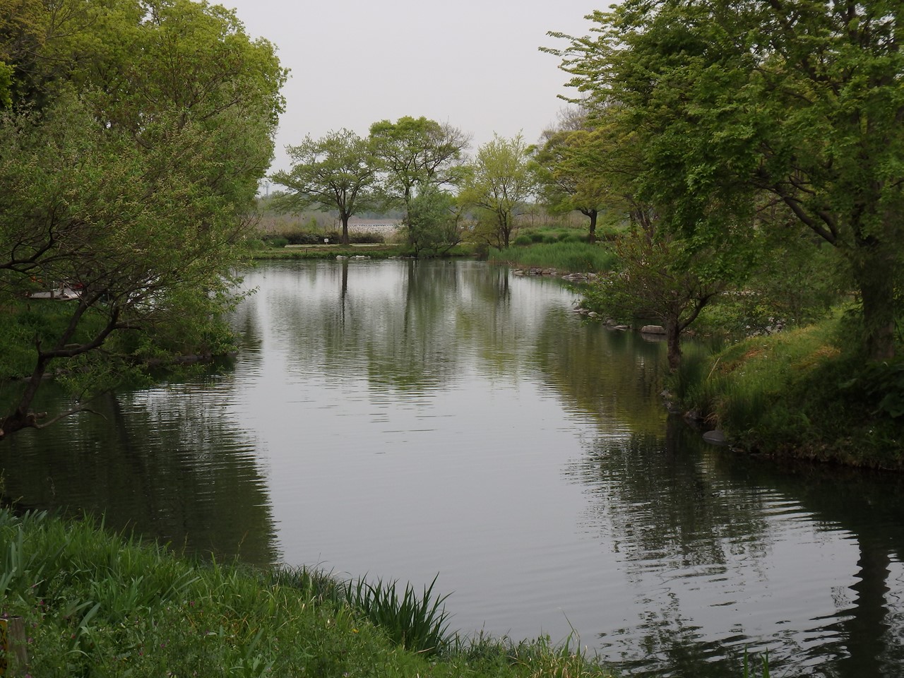 d0054276_20265854.jpg