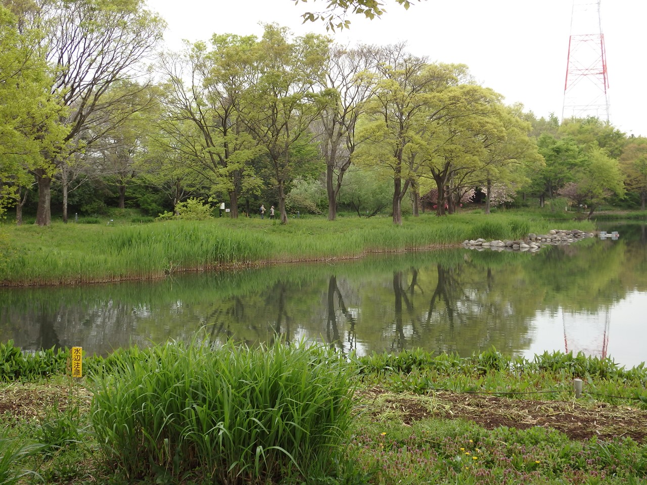 d0054276_20271673.jpg
