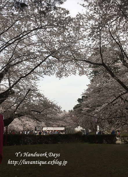 f0330978_09335877.gif