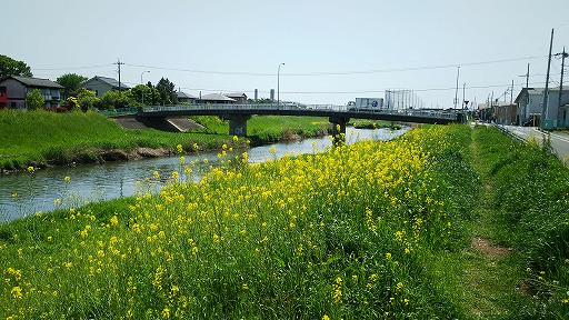 e0020682_21581285.jpg