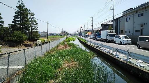e0020682_2213066.jpg