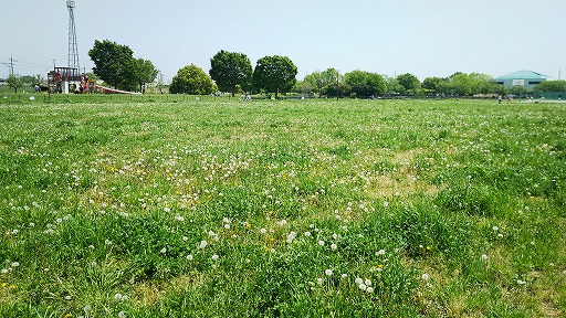 e0020682_2221894.jpg