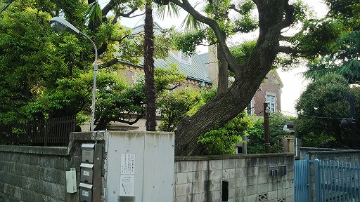 e0020682_22415138.jpg