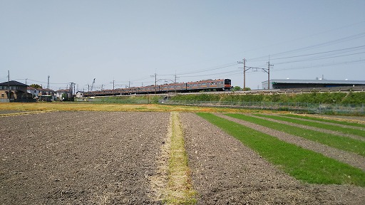 e0020682_2245841.jpg