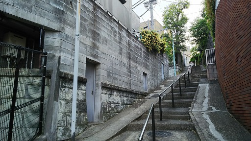 e0020682_2249628.jpg