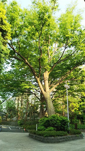 e0020682_22504955.jpg