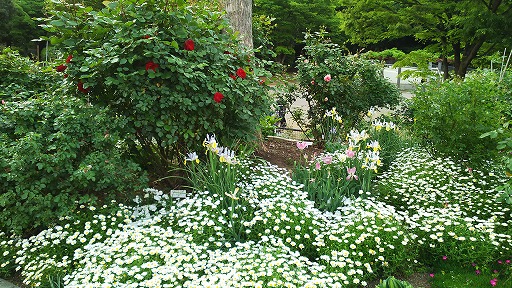 e0020682_23112533.jpg