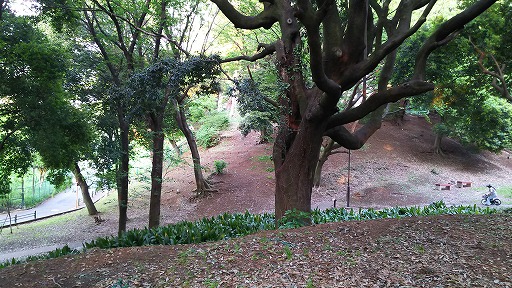 e0020682_23123138.jpg
