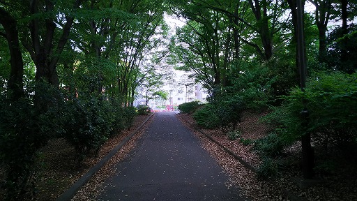 e0020682_23235056.jpg