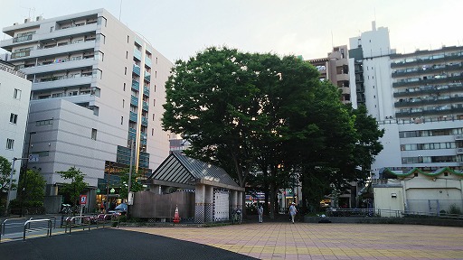 e0020682_23243277.jpg