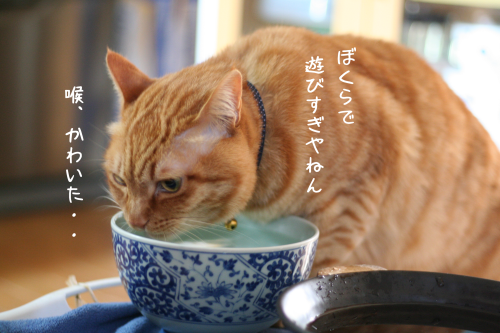 a0216583_10233021.png