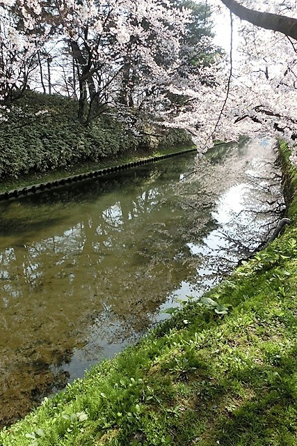 d0181492_17553141.jpg