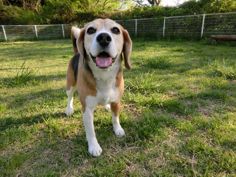 a0319693_6184761.jpg