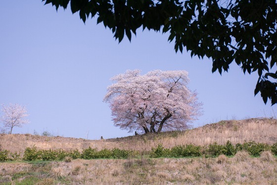 e0176993_07102660.jpg