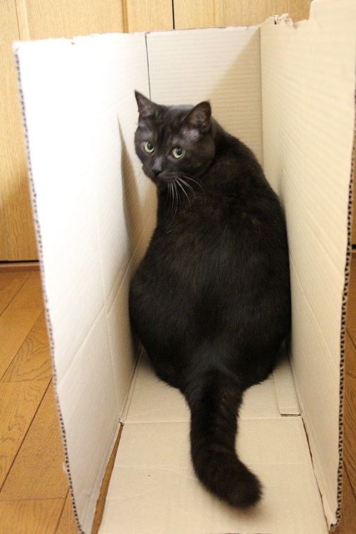 彼らの所属事務所は・・・?_a0333195_22374611.jpg