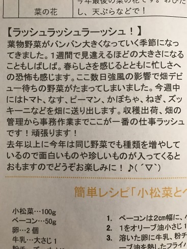 ズッキーニの季節到来_d0122797_17370701.jpg