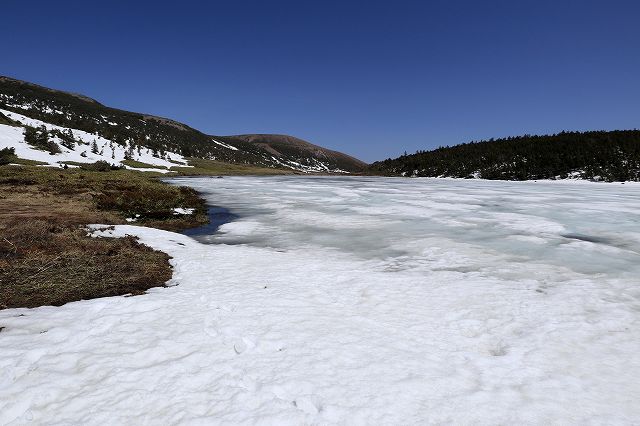 e0137200_22471535.jpg