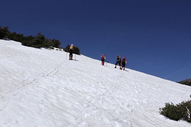 e0137200_2248380.jpg