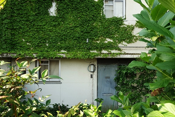 e0277800_07395779.jpg