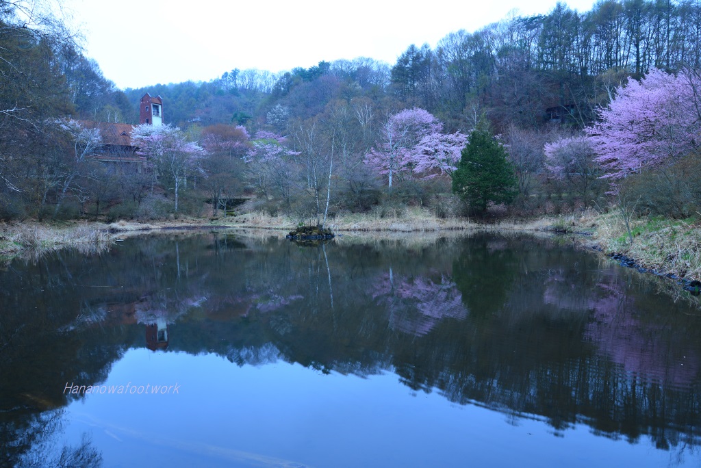 4月　桜の池、月、駅、峠_b0228502_0542874.jpg