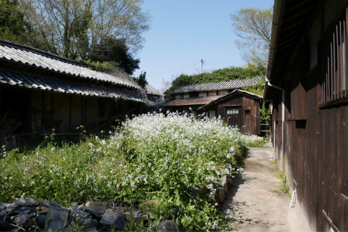 海界の村を歩く 瀬戸内海 牛島_d0147406_19543562.jpg
