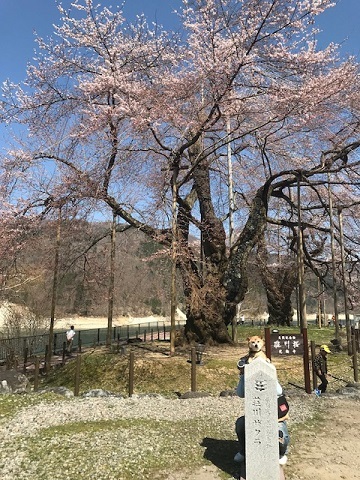 b0229910_16305037.jpg