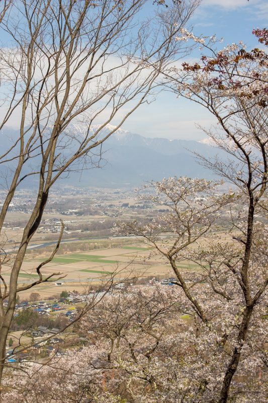 b0244811_21554260.jpg